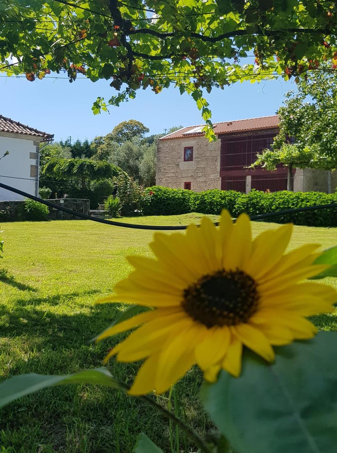 Casas Da Quinta Da Cancela Balugaes Экстерьер фото